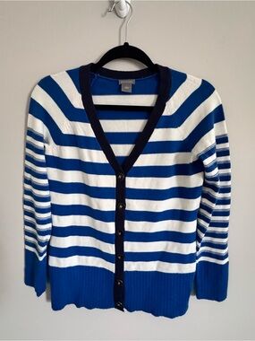 Ann Taylor Navy and Royal Blue Striped Knit Top